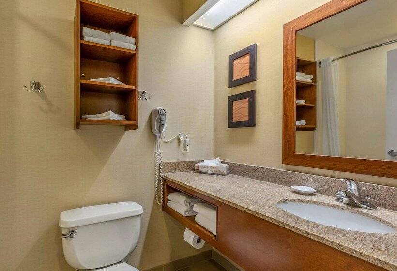 스위트, Comfort Inn & Suites North Conway