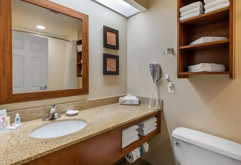 スイート, Comfort Inn & Suites North Conway
