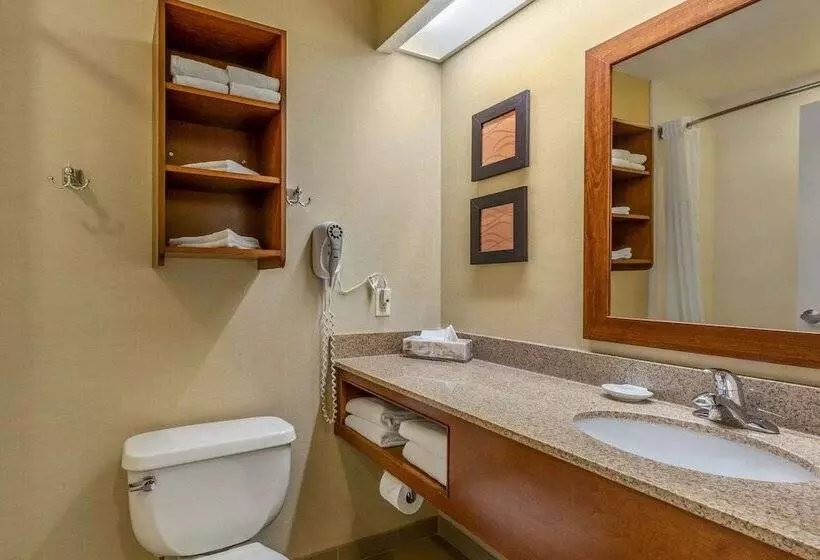 ２ダブルベッドのスタンダードルーム, Comfort Inn & Suites North Conway