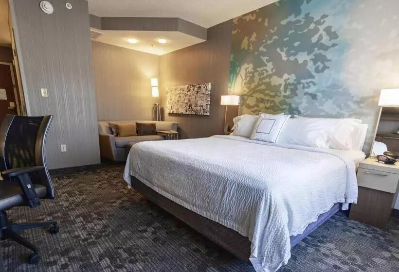 キングサイズベッドのデラックスルーム, Courtyard By Marriott Cleveland Willoughby