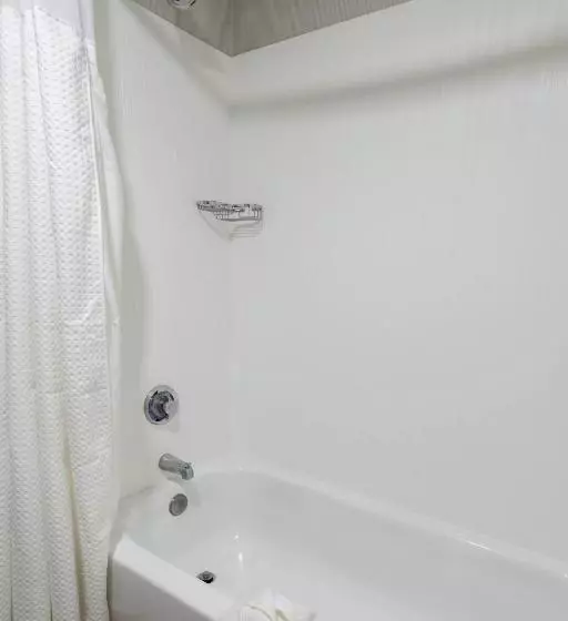 デラックスルーム, Courtyard By Marriott Cleveland Willoughby