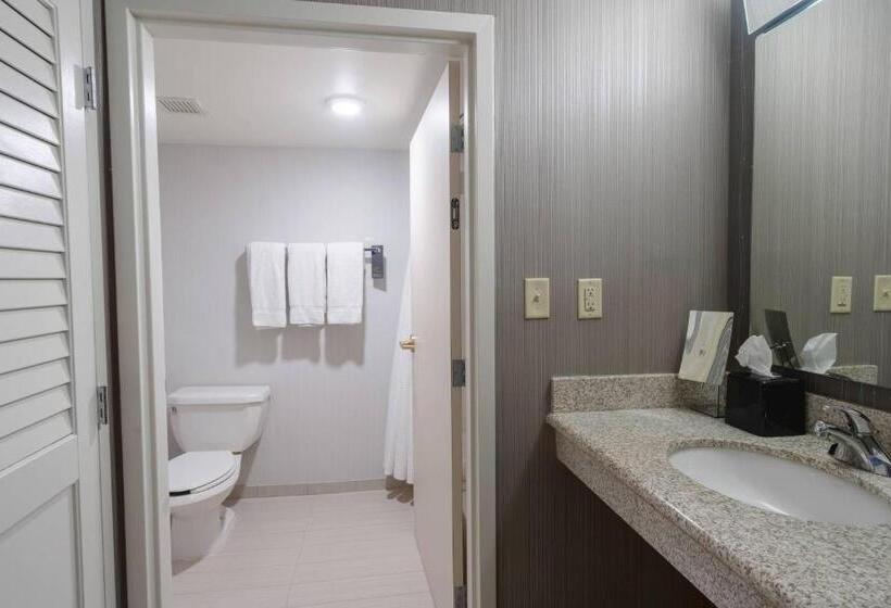 غرفة ديلوكس, Courtyard By Marriott Cleveland Willoughby