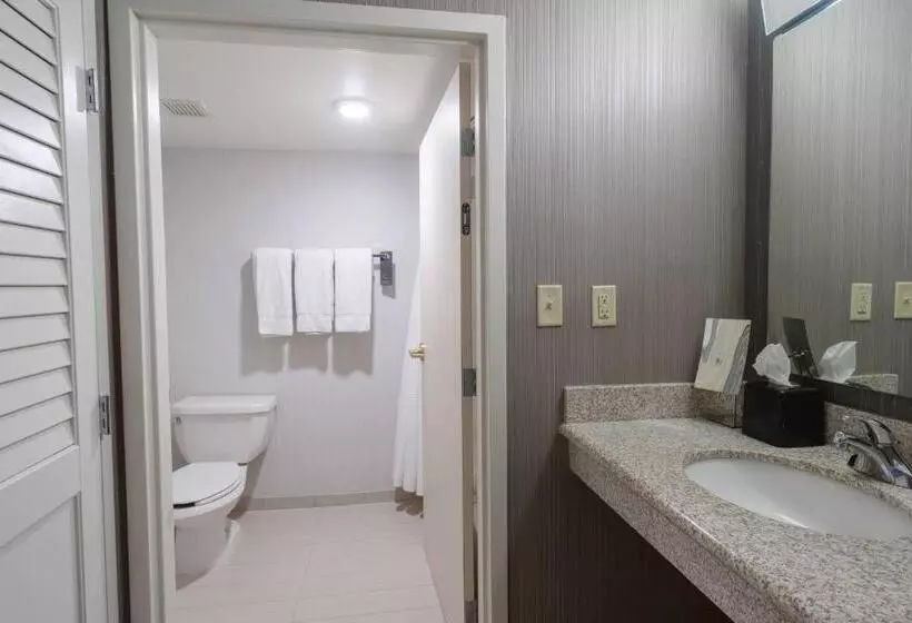 デラックスルーム, Courtyard By Marriott Cleveland Willoughby
