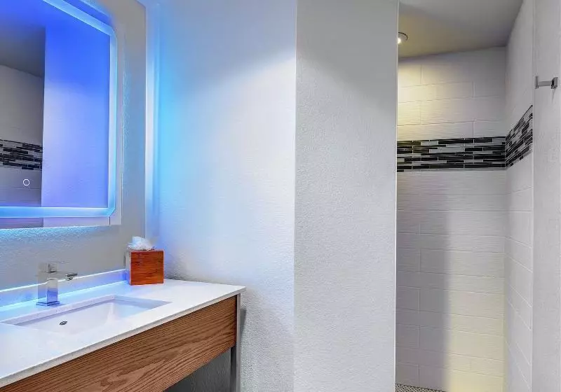 デラックスルーム, Even Hotels Sarasota Lakewood Ranch, An Ihg