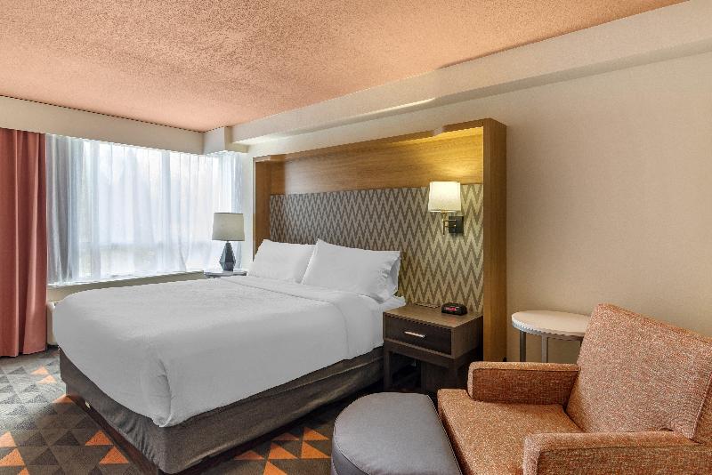 스탠다드 룸 킹사이즈 침대, Holiday Inn Atlanta Gas South Arena Area, An Ihg