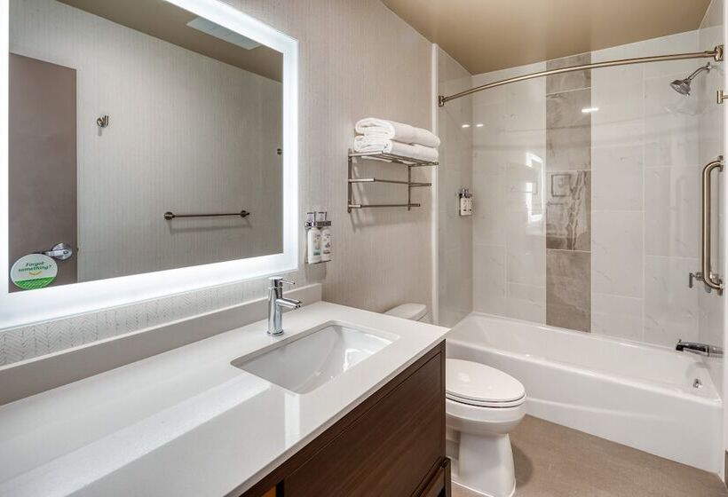 스탠다드 룸, Holiday Inn Kansas City Downtown By Ihg