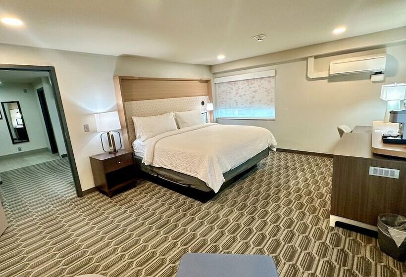 غرفة قياسية, Holiday Inn Kansas City Downtown By Ihg