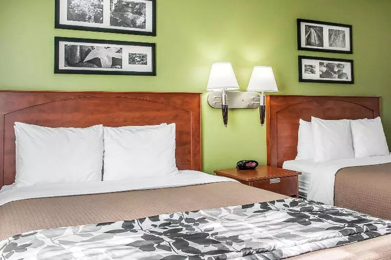 スイート, Homewood Suites By Hilton Houston Iah Airport Beltway 8
