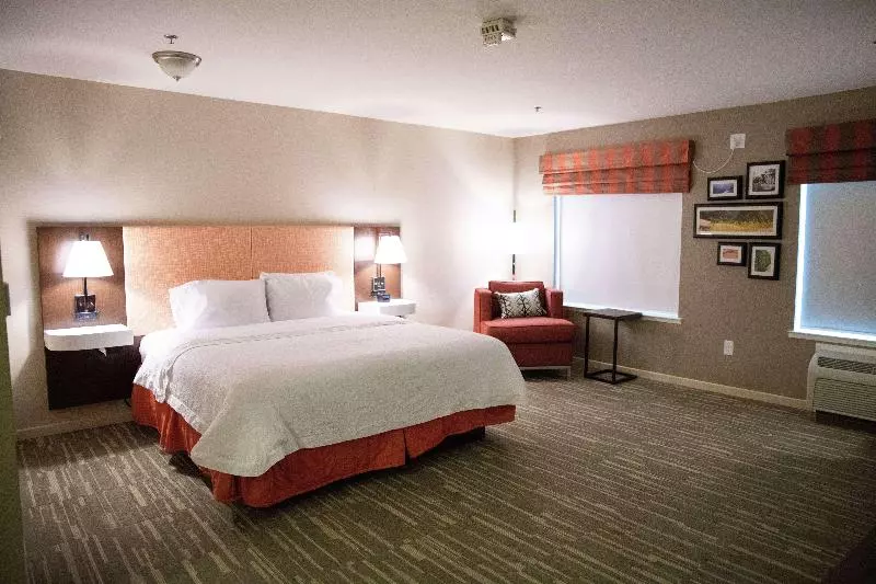استودیو استاندارد با تخت کینگ, Hampton Inn & Suites Fresno