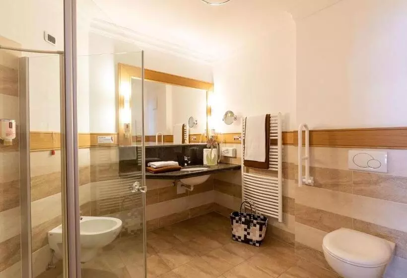 Standard-huone, Aktiv & Wellnesshotel Zentral