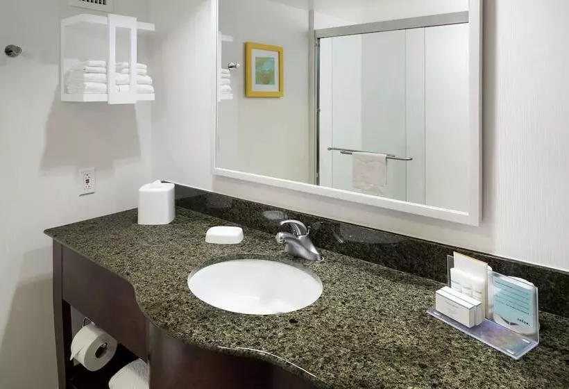 اتاق استاندارد با تخت دوبل, Hampton Inn & Suites Memphis Beale Street