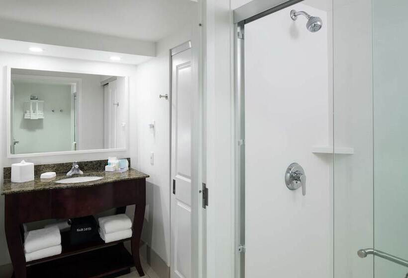 스위트 킹사이즈 침대, Hampton Inn & Suites Memphis Beale Street