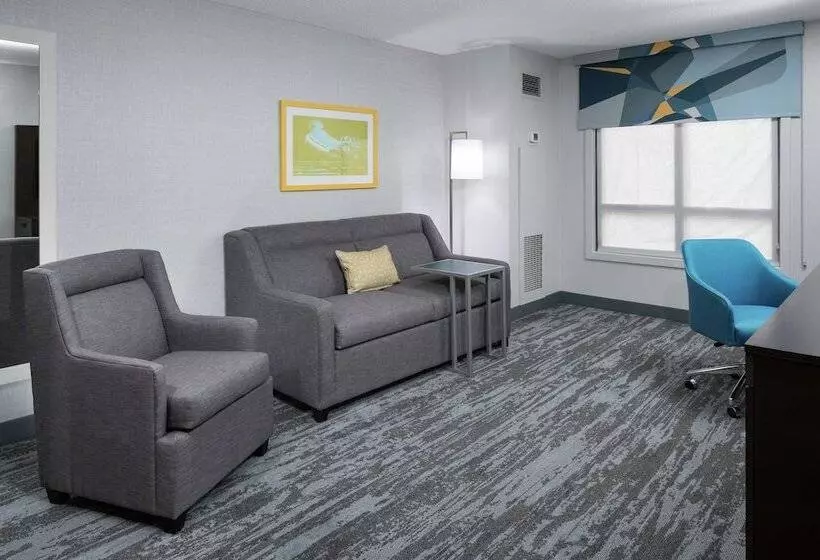 Sviitti King-vuode, Hampton Inn & Suites Memphis Beale Street