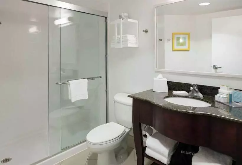 Standard-huone Parivuode, Hampton Inn & Suites Memphis Beale Street