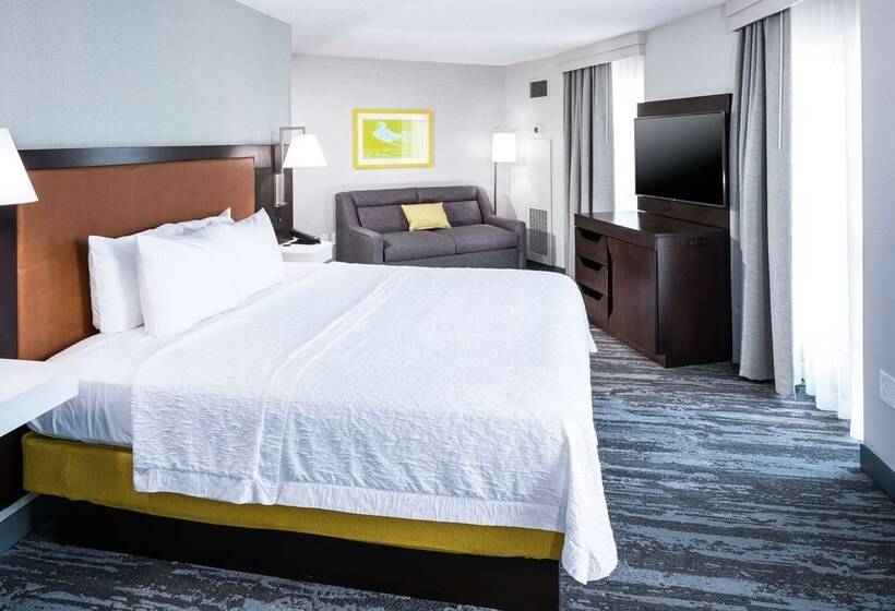 스탠다드 룸 더블 침대, Hampton Inn & Suites Memphis Beale Street