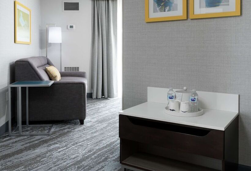 스탠다드 룸 더블 침대, Hampton Inn & Suites Memphis Beale Street