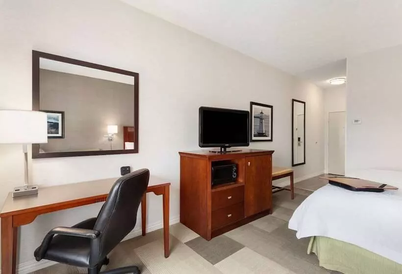 ２ダブルベッドのスタンダードルーム, Hampton Inn Colchester