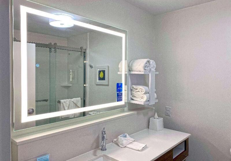 إستوديو قياسى سرير كينج, Hampton Inn Danville