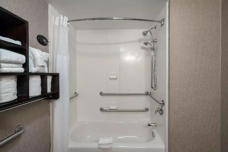身障者適用キングサイズベッドルーム, Hampton Inn Dublin