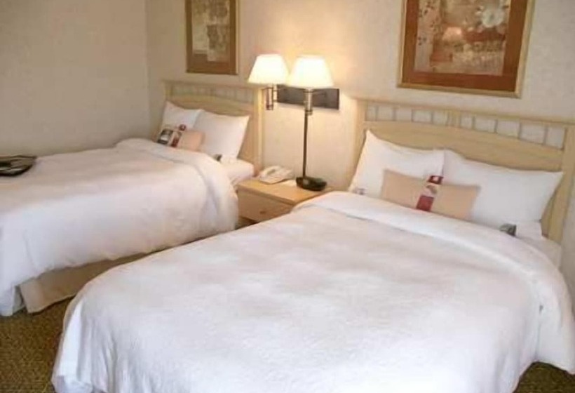 带2个双人床的标准工作室, Hampton Inn Dublin