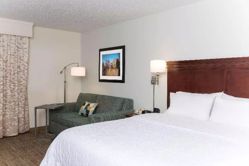 キングサイズベッドのスタンダードルーム, Hampton Inn East Lansing