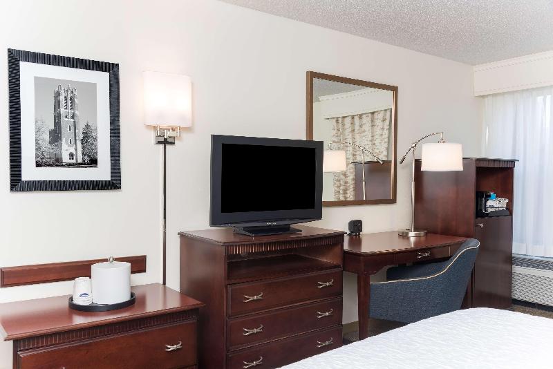 스탠다드 룸 킹사이즈 침대, Hampton Inn East Lansing