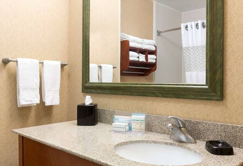 חדר סטנדרט, Hampton Inn Houstonwillowbrook Mall