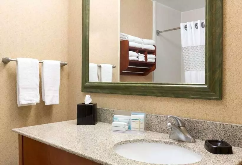 スタンダードルーム, Hampton Inn Houstonwillowbrook Mall