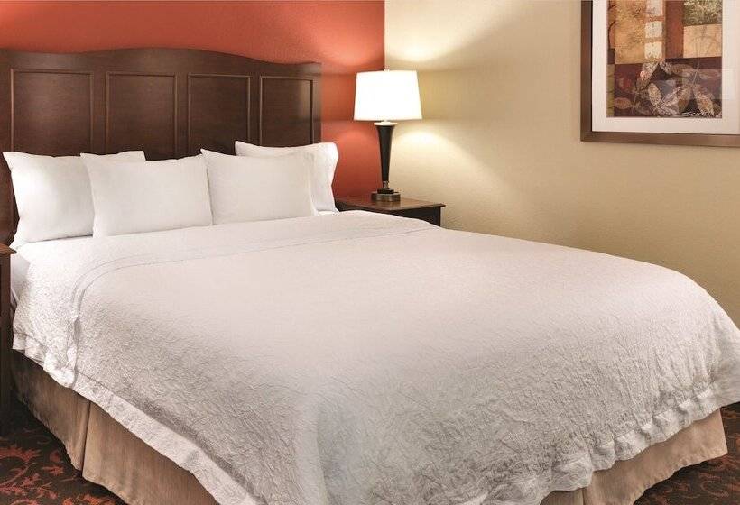 Номер Стандарт, Hampton Inn Houstonwillowbrook Mall