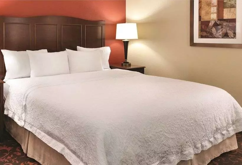 スタンダードルーム, Hampton Inn Houstonwillowbrook Mall