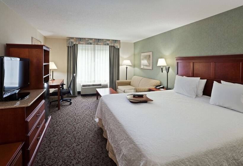 Стандартный Номер Кровать Кинг, Hampton Inn Ithaca