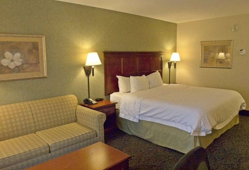 غرفة قياسية سرير كينج, Hampton Inn Ithaca