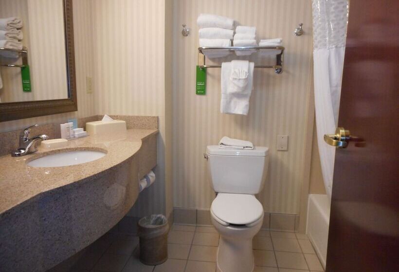 Студио Стандарт Кровать Кинг, Hampton Inn Ithaca