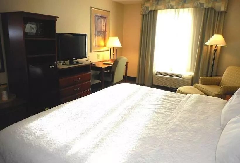 استودیو استاندارد با تخت کینگ, Hampton Inn Ithaca