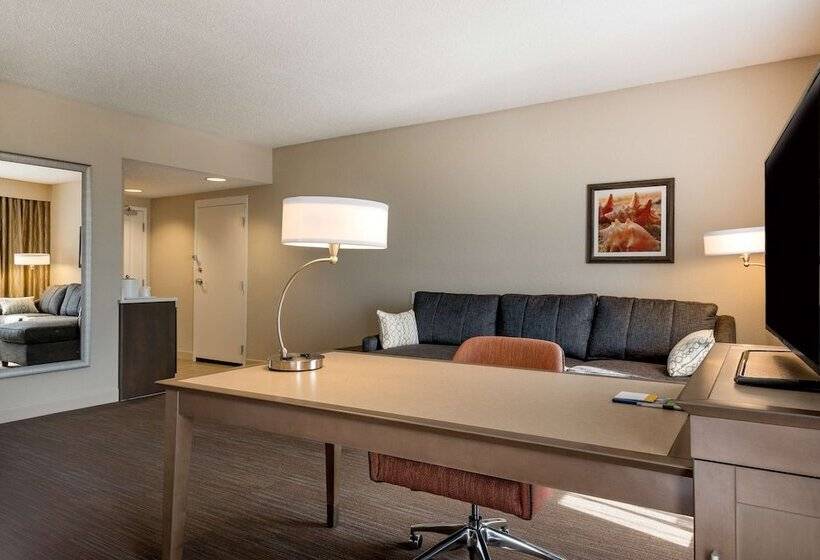 Номер Стандарт Двуспальная Кровать, Hampton Inn Myrtle Beach West