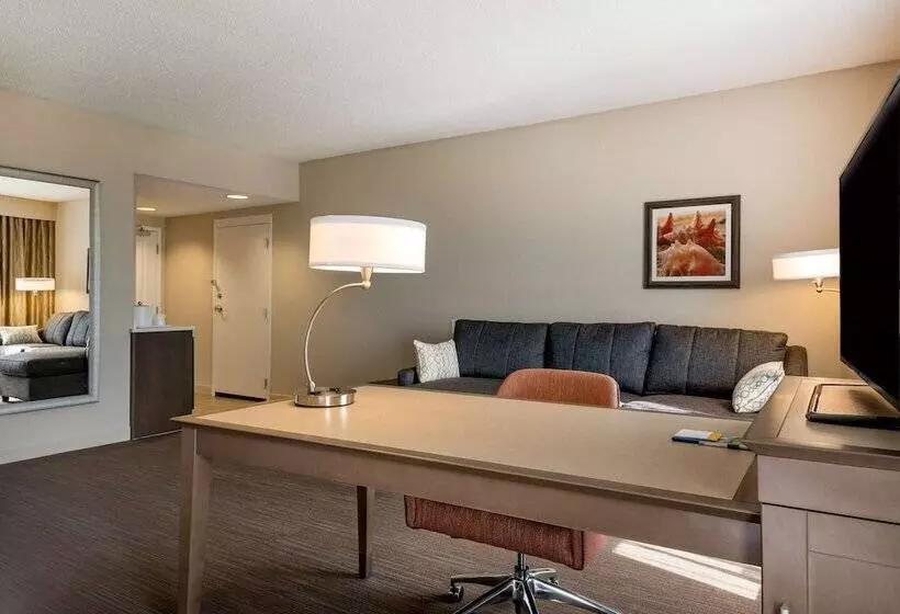 اتاق استاندارد با تخت دوبل, Hampton Inn Myrtle Beach West
