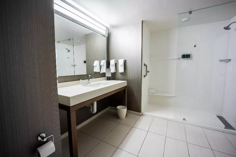 اتاق استاندارد با تخت بزرگ, Hampton Inn Raleigh Capital Blvd. North