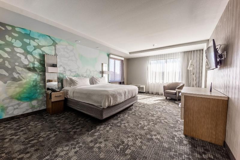 キングサイズベッドのスタンダードルーム, Hampton Inn Raleigh Capital Blvd. North