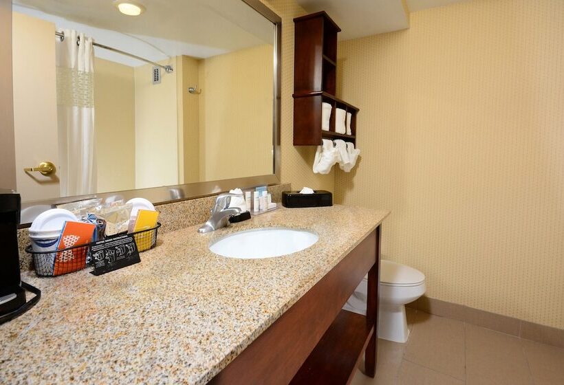 스탠다드 룸 킹사이즈 침대, Hampton Inn Raleigh Capital Blvd. North