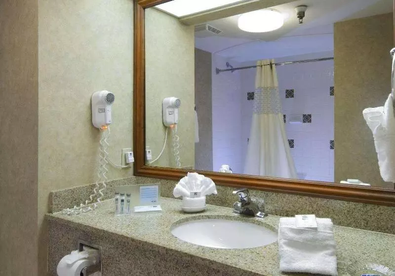 سوئیت با تخت بزرگ, Hampton Inn San Diego Del Mar