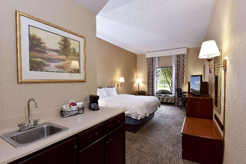 غرفة قياسية سرير كينج, Hampton Inn Selma