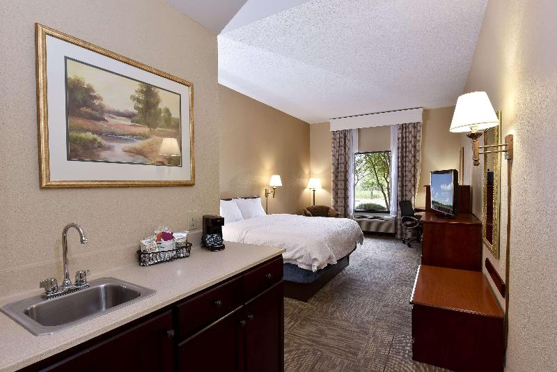 غرفة قياسية سرير كينج, Hampton Inn Selma