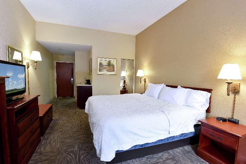 غرفة قياسية سرير كينج, Hampton Inn Selma