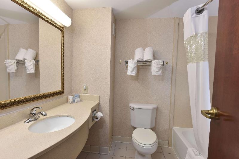 غرفة قياسية سرير كينج, Hampton Inn Selma