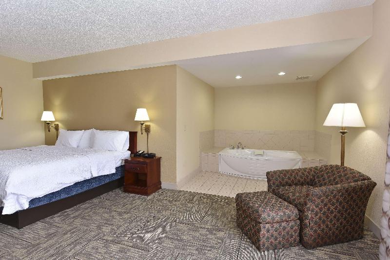 غرفة قياسية سرير كينج, Hampton Inn Selma