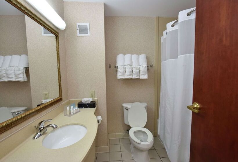 غرفة قياسية, Hampton Inn Selma