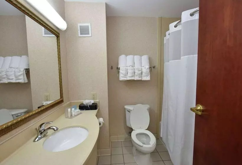 スタンダードルーム, Hampton Inn Selma