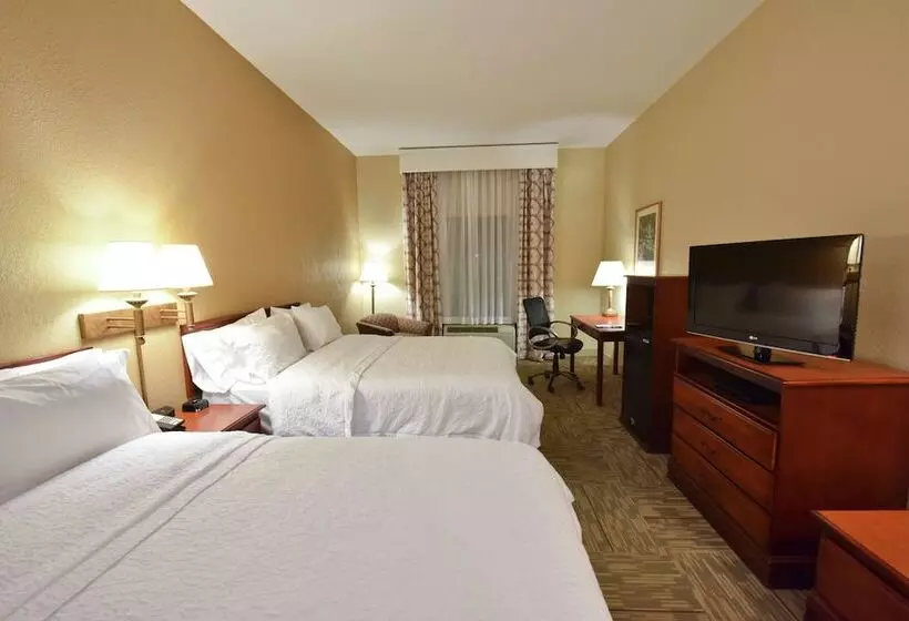 スタンダードルーム, Hampton Inn Selma