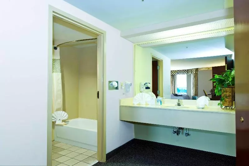 سوئیت با تخت بزرگ, Hampton Inn & Suites Atlanta Airport North I85