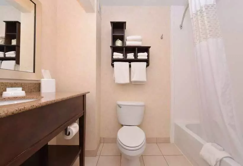 اتاق استاندارد, Hampton Inn & Suites Pueblo Southgate